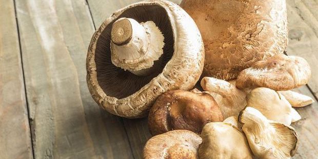 Zo kuis je champignons op een juiste manier