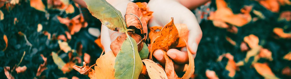 8 tips om je tuin en terras winterklaar te maken