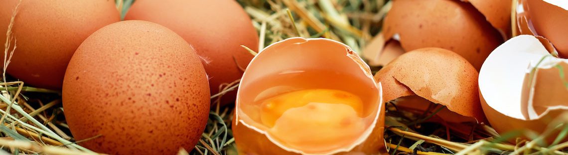 Hoe moet je eieren bewaren?